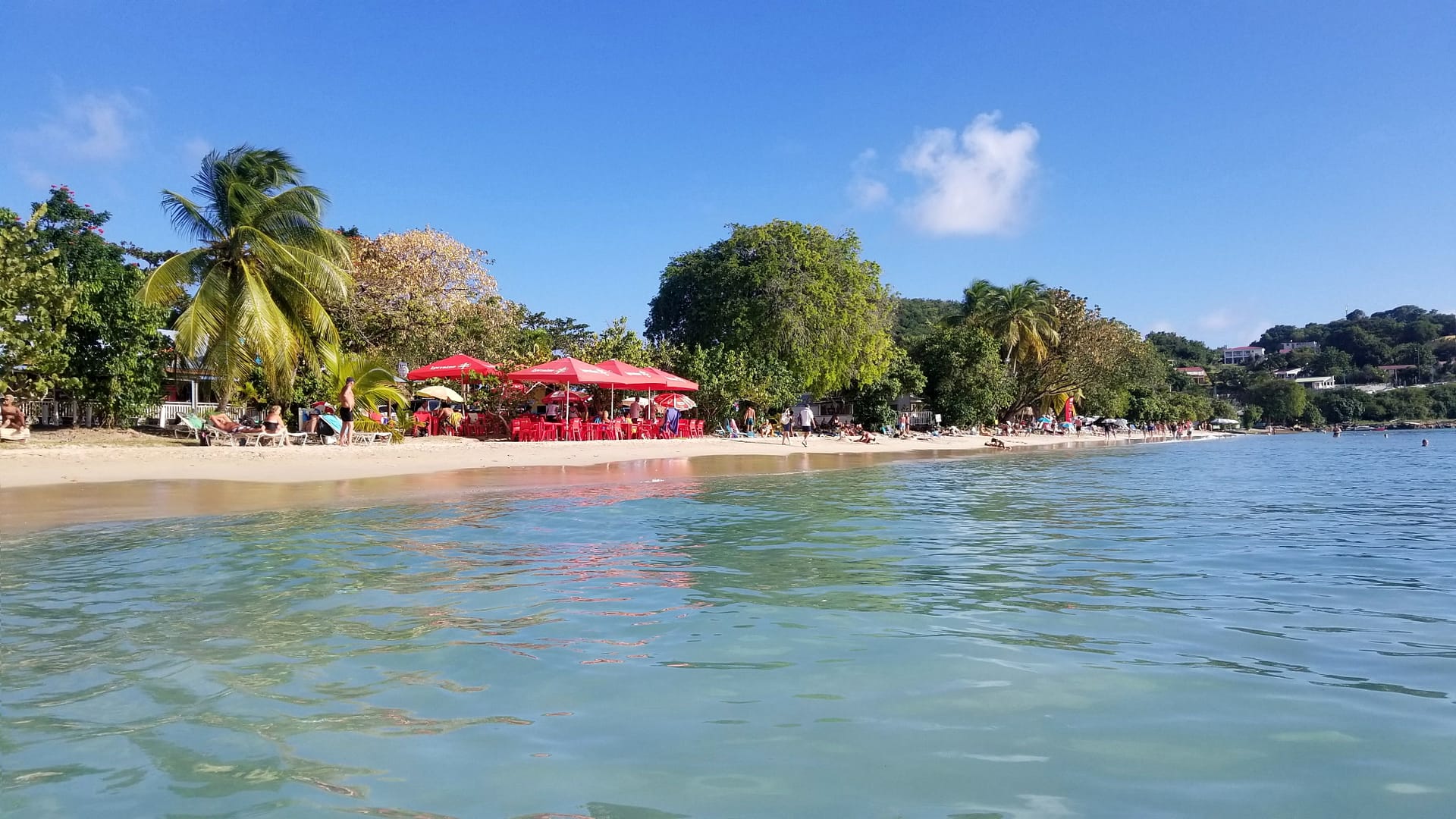 A trip to Agricole Rhum Paradise: la Martinique!
